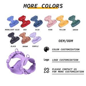 2023 Fabrikant Groothandel Op Maat Gemaakte Waterdichte Pvc Hondenriem Solide Slip Ring Trainer Polyester Doelgroep Hondenbezitters - Product Image 2