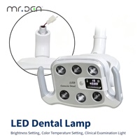 Lampe buccale LED Mr.Den à 6 ampoules pour fauteuil dentaire, en acier et plastique, lumière froide bicolore avec alimentation électrique
