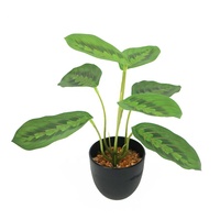 Plante artificielle mini calathea de 25 cm de haut, très vendue, décoration d'intérieur, petit bonsaï