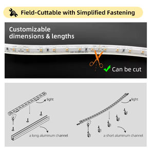 Bande lumineuse LED flexible étanche IP66 pour extérieur, OEM ODM AC 110V 220V, néon pour maison, jardin, plafond - Product Image 6
