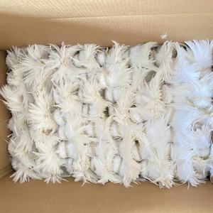 Pluma de gallo de pollo Hackle blanca teñida para manualidades, Material para atar moscas DIY, pendiente de pelo de carnaval, accesorio para fiesta, decoración del hogar - Product Image 4