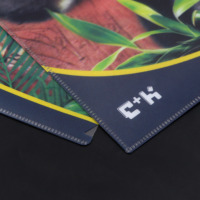 Papelería escolar para niños Carpeta de archivos lenticular 3D de tamaño A4 con personaje animal Carpeta DE PRESENTACIÓN DE PP de plástico