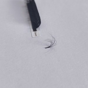 Phong cách mới 5D 0.07mm Fluffy hiệu ứng nhanh chóng Quạt lông mi lộn xộn rắn 5D nhiều lớp Hoang Dã dễ dàng Quạt lông mi mở rộng - Product Image 2