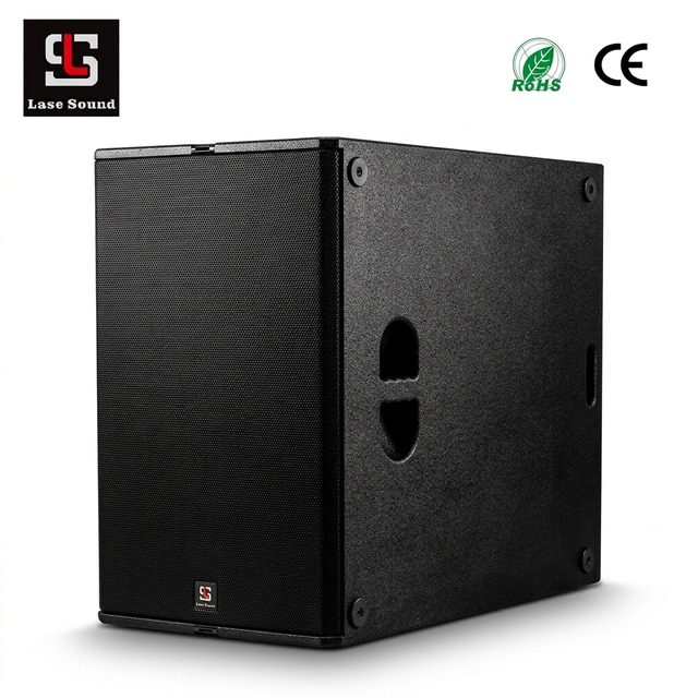 Dual 15 Inch Active Subwoofer Amplifier Professional Sound System 2400W Powered Club Stage PA Loudspeaker with Germany DSP