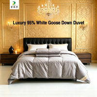 Couette d'été matelassée confortable taille King, respirante et rafraîchissante, 500g, mélange coton-polyester, stérilisée, sans odeur, OEM