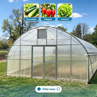 Serre agricole monopente facile à assembler avec couverture en film PE pour la culture de tomates et système de climatisation