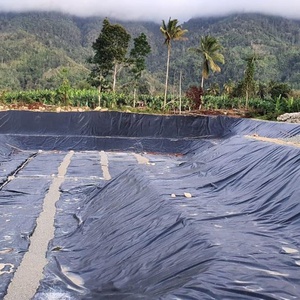 Géomembrane HDPE Barrière anti-racines de <span class=keywords><strong>bambou</strong></span> 1mm 2mm Revêtement de décharge lisse 1.5mm 1mm Coût de revêtement Malaisie - Product Image 4
