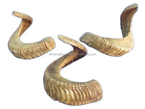 Bocina de búhos 100% natural, bocina de cabra y perro, para el mejor cuerno pulido, uso de pie de perro, bocina Real, precio bajo - Product Image 4