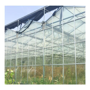 <span class=keywords><strong>Serre</strong></span> <span class=keywords><strong>en</strong></span> verre Venlo de grande taille pour l'agriculture commerciale <span class=keywords><strong>en</strong></span> plein air, de haute qualité, kit complet, fourniture professionnelle, multi-spans, UV - Product Image 3