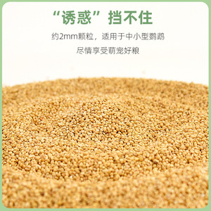 Nouvel aliment pour oiseaux nutritif : Millet jaune premium 1200ml pour perroquets, perruches et calopsittes - Product Image 3