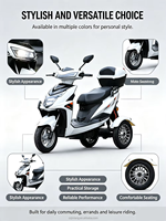 Scooter électrique à trois roues 1000W, contrôleur intelligent 60V, tricycle adulte, autonomie de 60 km, véhicule de transport de marchandises
