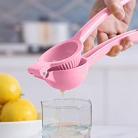 Professionele Handmatige Citroenpers Fruit-En Groentesnijder En Sappersgereedschap
