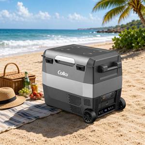 Congélateur portable à compresseur, <span class=keywords><strong>prix</strong></span> d'usine, 36L, réfrigérateur de voiture 12V 24V avec batterie amovible - Product Image 1