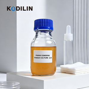 Extracto de Cultivo Celular de Ginseng KODILIN de Alta Pureza, Libre de Pesticidas, Certificado <span class=keywords><strong>ISO</strong></span>, para Materia Prima Cosmética - Product Image 1