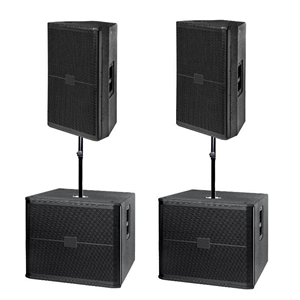 Vendita calda 450W passiva da 15 pollici a 2 vie gamma Audio professionale per spettacoli di concerti e discorsi - Product Image 1