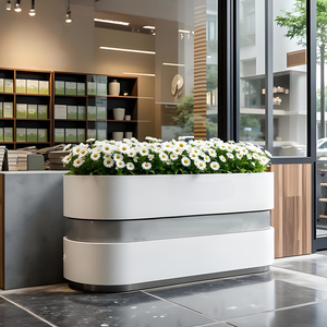 Boîtes à fleurs sur mesure disponibles, adaptées à une utilisation dans les balcons, les espaces publics des villas, les centres de jardinage et autres lieux. - Product Image 1