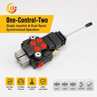 Vanne de commande directionnelle monobloc DCV40 50L-Min à commande par joystick, un commande pour deux, 2 voies, personnalisée pour chariot élévateur et chargeuse
