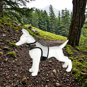 الشركة المصنعة الأعلى مبيعًا الصيف تنفس وصديقي للموضة شبكة الهواء شخصية سهلة قابلة للتعديل عاكس المشي آمن الكلب تسخير - Product Image 3