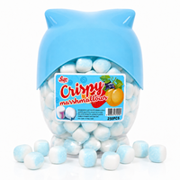 Knusprige Schale mit weichem Marshmallow-Kern, niedliche Eulenform im Glas, Fruchtgeschmack-Bonbon