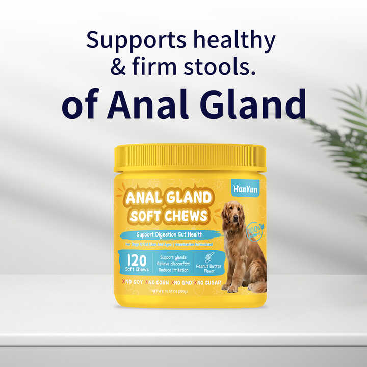 Tips for Maintaining Anal Gland Health in Dogs with Allergies - How To Express A Dogs Anal Glands With A Supportive Companion