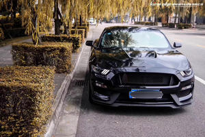 Kit carrosserie pare-chocs voiture pour <span class=keywords><strong>Ford</strong></span> <span class=keywords><strong>mustang</strong></span> <span class=keywords><strong>gt</strong></span> 350 kit carrosserie pare-chocs avant - Product Image 5