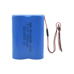 GEB ER18505M 1S2P 3.6V 7Ah Paket Baterai Lithium Tipe Daya Tinggi 7000mAh ER18505 Baterai Li-SoCl2 Non-rechargeable Laris Manis - Product Image 6