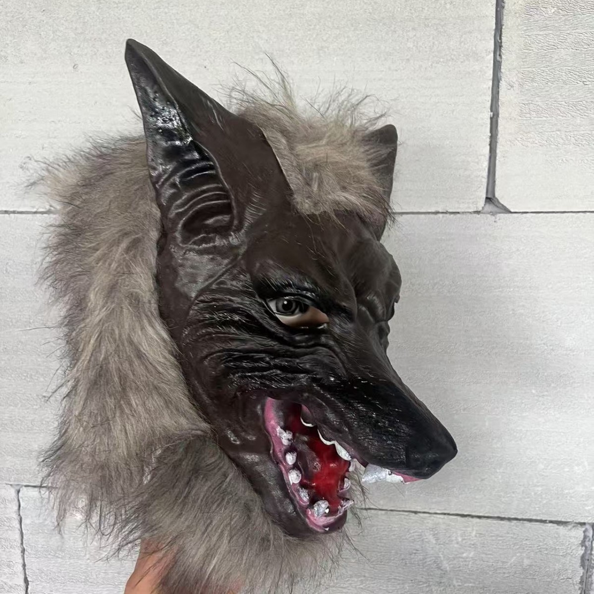 The big wolf head Gray