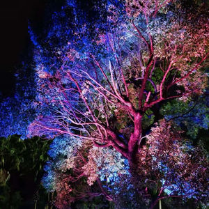 Lámpara de teñido de color IP65 para árboles de Navidad, jardines y eventos al aire libre - Product Image 1