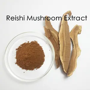 Органический порошок Рейши, экстракт грибов Ganoderma Lucidum Reishi, порошок грибов рейши