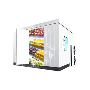 Unidad de refrigeración de congelador personalizada, refrigerador profesional, habitación fría