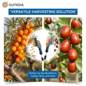 Raccoglitore Elettrico <span class=keywords><strong>Ricaricabile</strong></span> ad Alta Durata per Frutta come Olivello Spinoso, Giuggiole, Pepe del Sichuan, Kumquat - Product Image 2