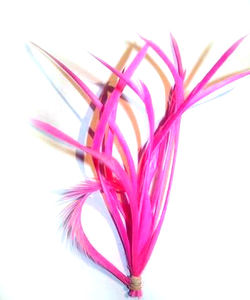 Comme plumes d'oie teintes, plumes d'oie rouges teintes à <span class=keywords><strong>vendre</strong></span> - Product Image 3