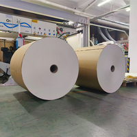 Rouleaux de gobelets en papier enduit PLA personnalisés pour gobelets en papier