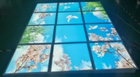 Lumin Effet réaliste Installation facile Simulation bleue Décoration commerciale et domestique Plafonnier artificiel en forme de nuage LED