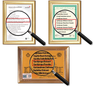 100% טהור טבעי Cordycepin <span class=keywords><strong>Cordyceps</strong></span> Sinensis תמציות אבקה - Product Image 6