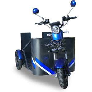 Triciclo Eléctrico de 800W con Rampa <span class=keywords><strong>para</strong></span> Sillas de Ruedas, Certificado CE <span class=keywords><strong>para</strong></span> Personas con Discapacidad - Product Image 3