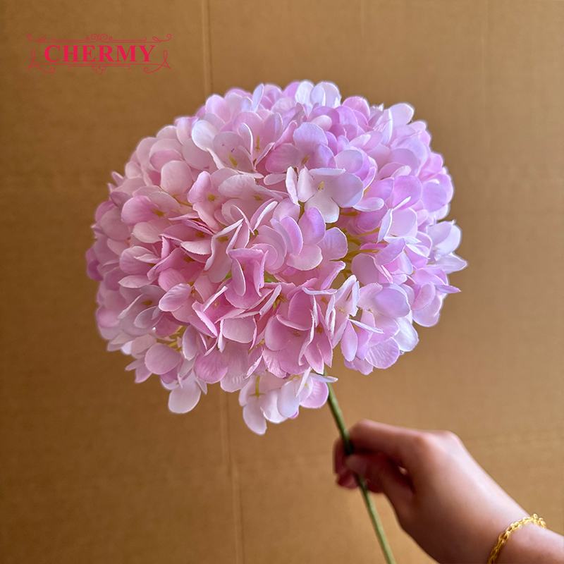 #5 hortensias à grosse tête rose violet - 18 cm