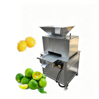 Presse-agrumes automatique à double rouleau pour jus de fruits, citron, mandarine verte, pamplemousse, citron vert