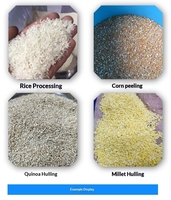 Machine à décortiquer le riz commerciale HAOLI, capacité 650 kg/h, puissance 11 kW, automatique et multifonctionnelle pour riz/maïs/millet