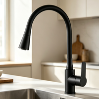 Robinet de cuisine monocommande en acier inoxydable 304, à montage sur plan, avec douchette extractible, col de cygne flexible, noir mat, valve en céramique
