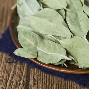 Hochwertiges Bio-Hundebane-Blatt (Folium Apocyni Veneti / Luo Bu Ma Ye) – Getrocknet, natürliches Aussehen - Product Image 5