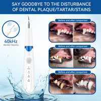Nettoyeur dentaire ultrasonique pour chien et chat Brosse à dents pour animaux de compagnie en acier inoxydable pour une haleine fraîche Élimination du tartre et de la plaque dentaire Taches dentaires