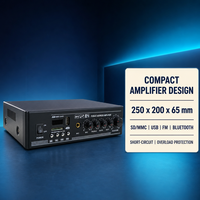 Amplificateur de sonorisation professionnel avec 1 entrée micro, 2 entrées ligne, USB, SD, radio, contrôle de volume séparé et protection contre les courts-circuits