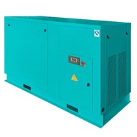 Compresseur d'air portable à vis de haute qualité, alimenté au diesel, à vendre
