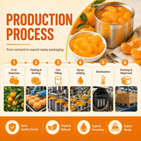 Segmen Jeruk Mandarin Kaleng 850g dalam Sirup Ringan Grosir Label Pribadi Ukuran Kustom Pemasok Langsung Pabrik