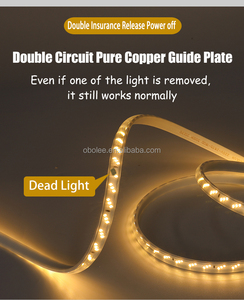 220V High Voltage Wireless <b>LED</b> <b>Strip</b> <b>Light</b> Outdoor <b>Waterproof</b> Ultra Bright Double Row Slanted Triple Row Flexible Tape <b>Light</b> - Product Image 5