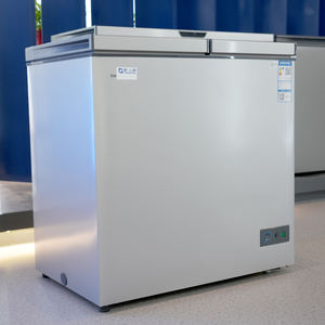 Congélateur Coffre Commercial Silencieux à Double Porte et Refroidissement Direct de 200 Litres, Surgélateur Inverter pour Supermarché et Chambre Froide - Product Image 6