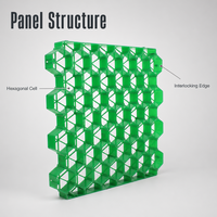Grille de gazon en plastique HDPE pour aménagement paysager de parking, drainage, résistance à la pression, résistance à l'usure, garantie 5 ans