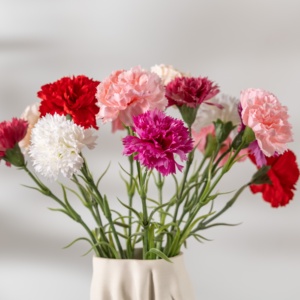 <span class=keywords><strong>Claveles</strong></span>, Decoración de Flores Simuladas Realistas, Decoración de Flores Artificiales, Decoración de Flores Artificiales para Bodas - Product Image 2