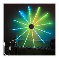 Projecteur led avec feu d'artifice pour noël, lampe avec contrôle numérique, vente directe d'usine